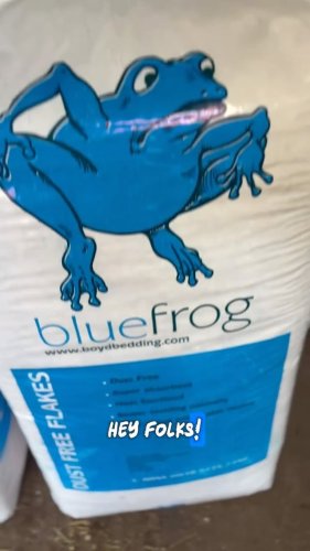 Video post from vickihobanparaequestrian.