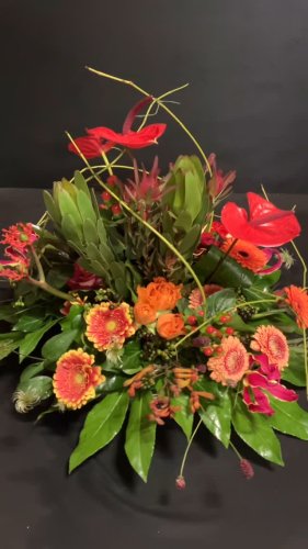 Video post from dellemannbloemen.