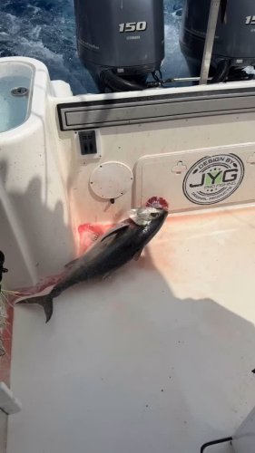 Video post from ejs_fishing_charters.