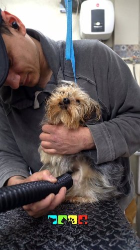 Video post from medicalpettj.