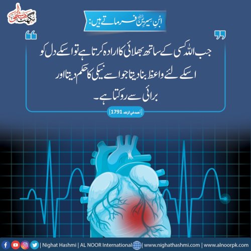 Photo post from nighathashmi.