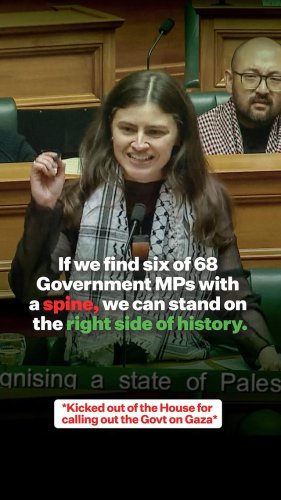 Video post from nzgreenparty.