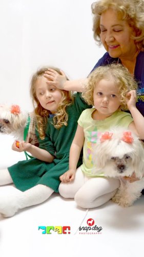 Video post from medicalpettj.