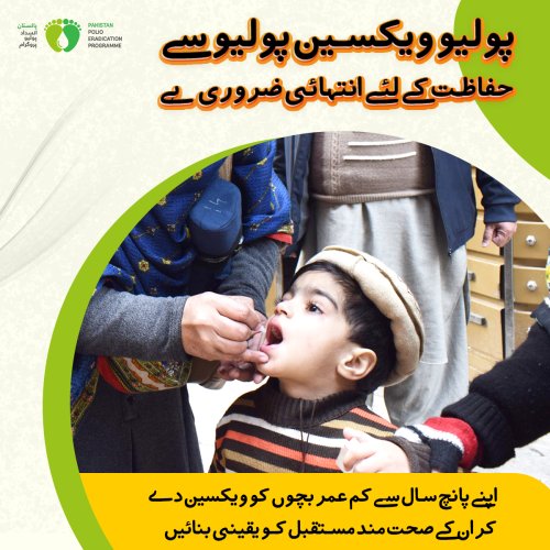 Photo post from pakfightspolio.