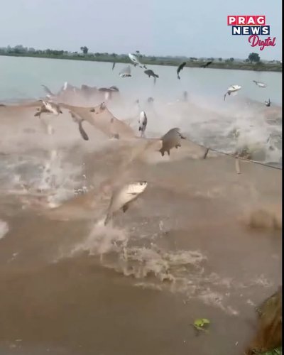 Video post from pragnewsofficial.