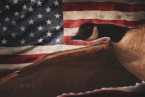 Photo post from northernskiesoutfitters.