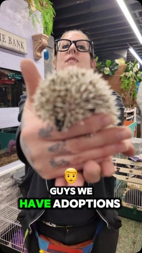 Video post from njexoticpets.