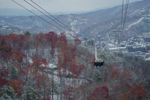 Photo post from thesmokymountains.