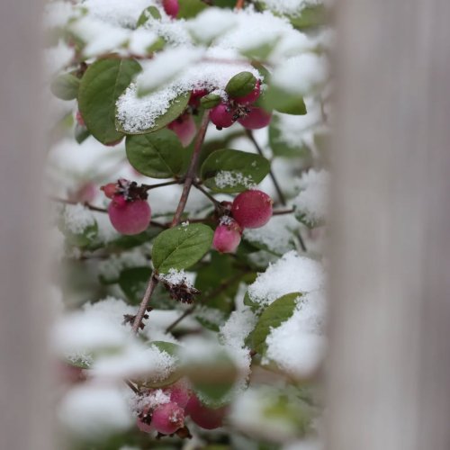 Photo post from illumina_photos.