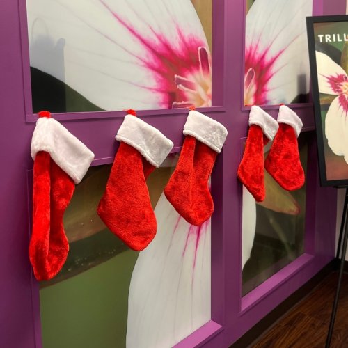 Photo post from trilliumdental.