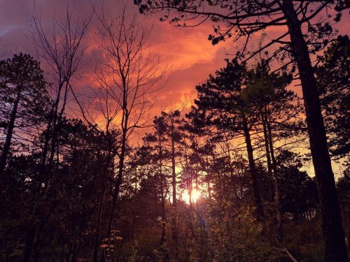 Photo post from ditiskatwijk.