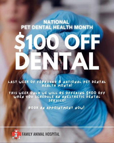 Photo post from familyanimalhospitalcm.