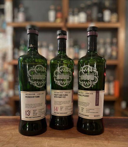 Photo post from wonderhorsebar.