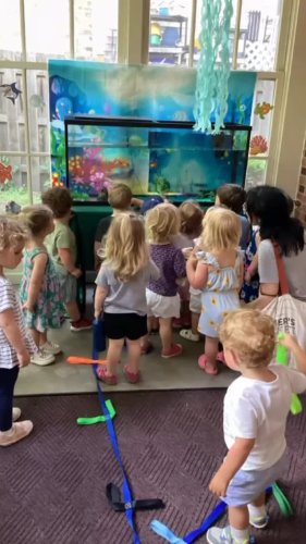 Video post from gortoncenterlf.