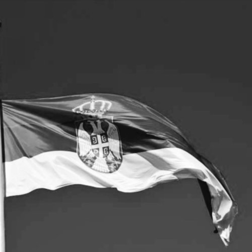 Photo post from sremskatelevizija.