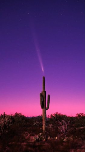 Video post from visittucson.