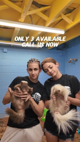 Video post from njexoticpets.