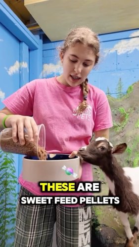 Video post from njexoticpets.