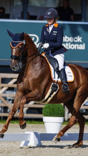 Video post from fei_global.