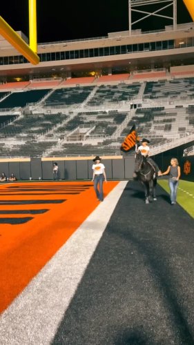 Video post from reddirthatco.