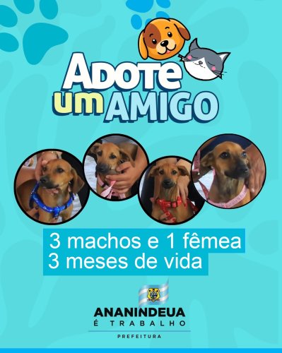 Photo post from ananindeuapma.