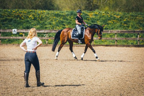 Photo post from mbddressage.