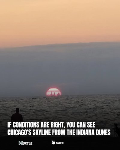 Carousel post from therealnurtle.