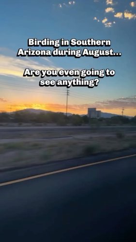 Video post from visittucson.