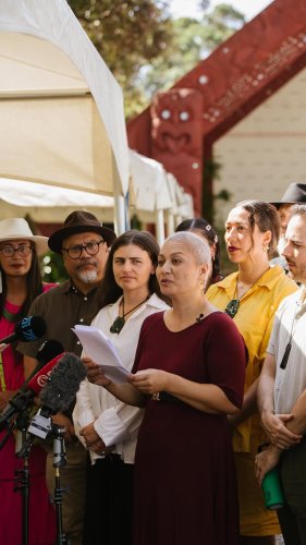 Video post from nzgreenparty.