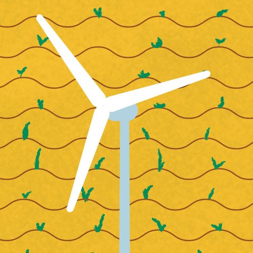 Photo post from unops_official.