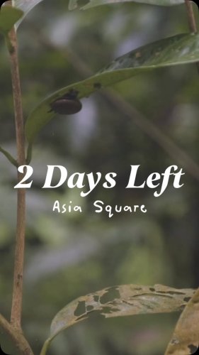 Video post from crane_living.