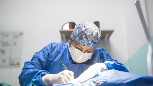 Photo post from medicalpettj.