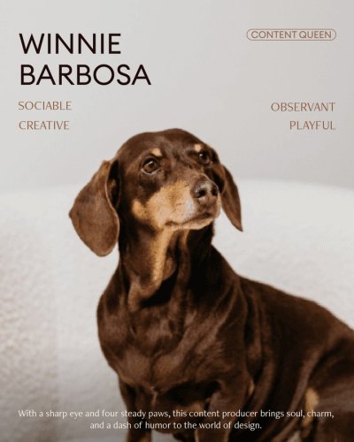 Photo post from wonderstudiopt.