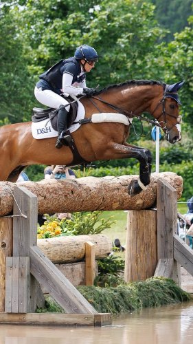 Video post from fei_global.