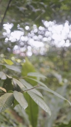 Video post from crane_living.