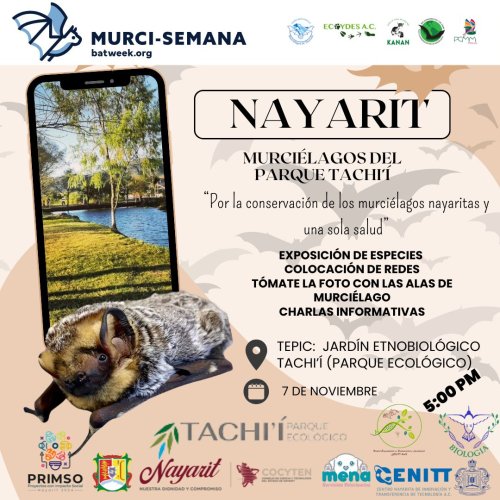 Photo post from murcisemana_oficial.