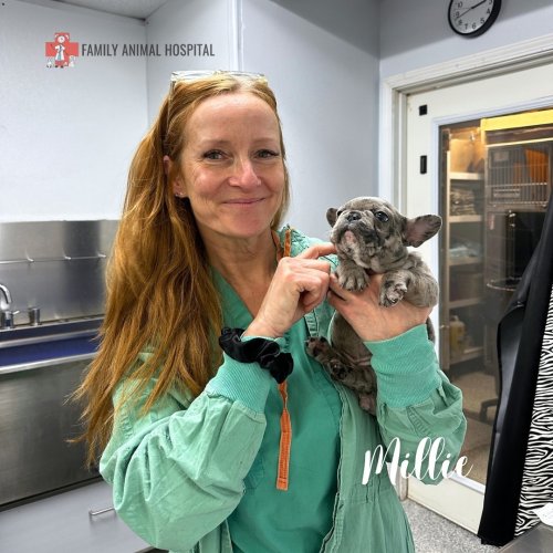 Carousel post from familyanimalhospitalcm.