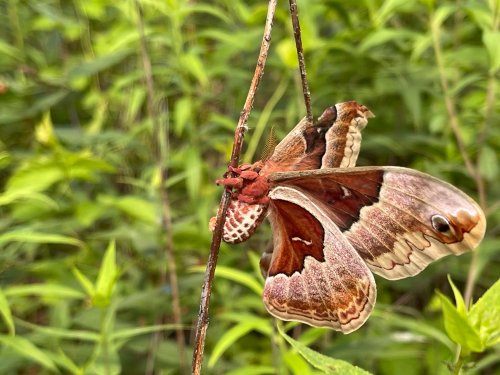 Photo post from indianadunesnps.