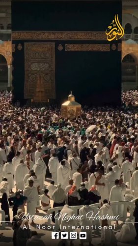 Video post from nighathashmi.