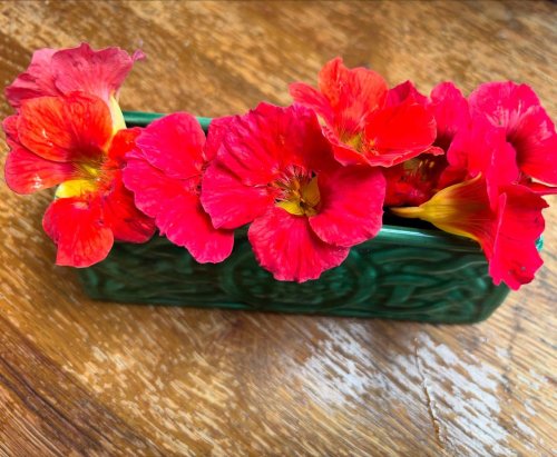 Photo post from gardenhousebrighton.
