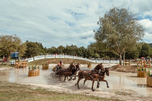 Photo post from fei_global.