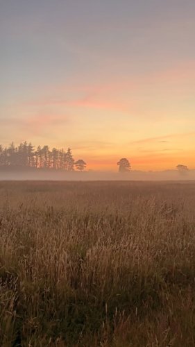 Video post from hiking_photographer.