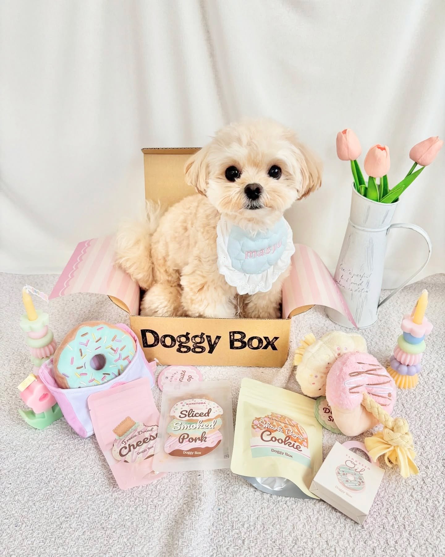 専用です　ドギーボックス　おもちゃセット　クリスマス他　3セット Doggy Box | 毎月サプライズいっぱいのBOXをお届け