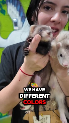 Video post from njexoticpets.