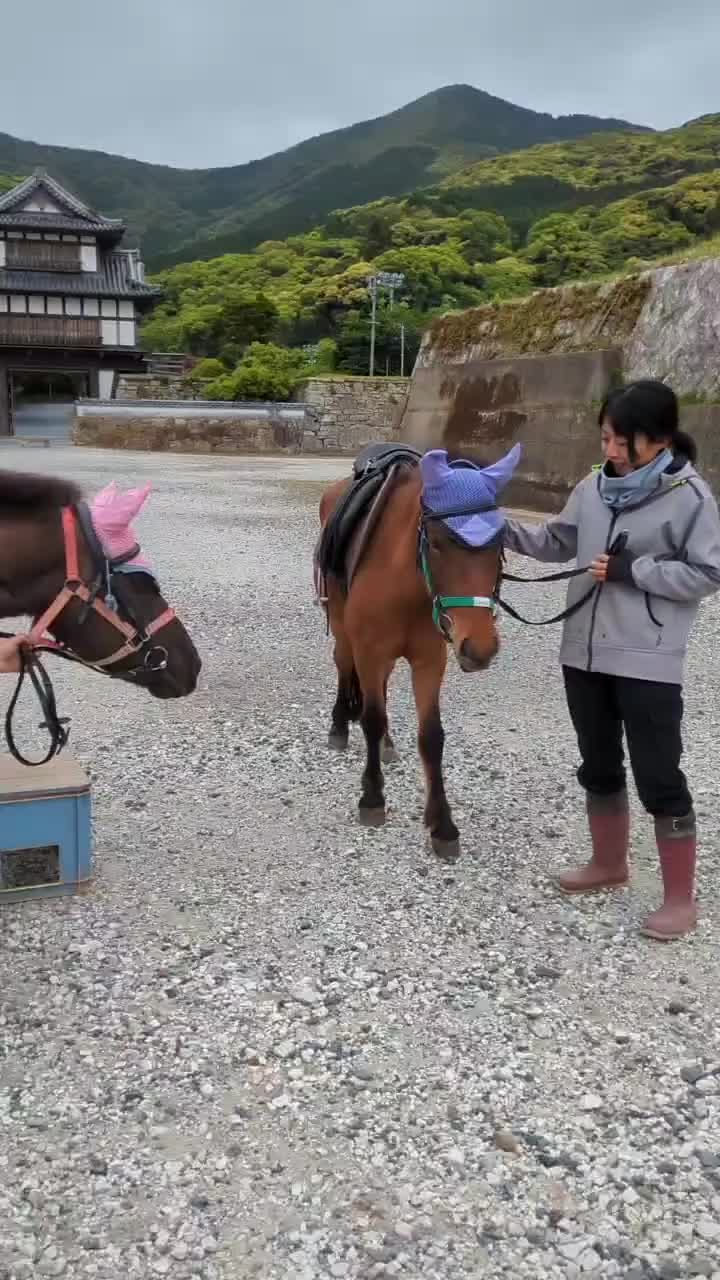 Carousel post from taishu_horse_conservation.