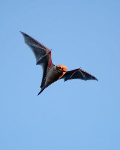 Photo post from fairfaxparks.