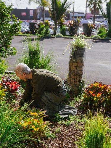 Carousel post from nzgreenparty.