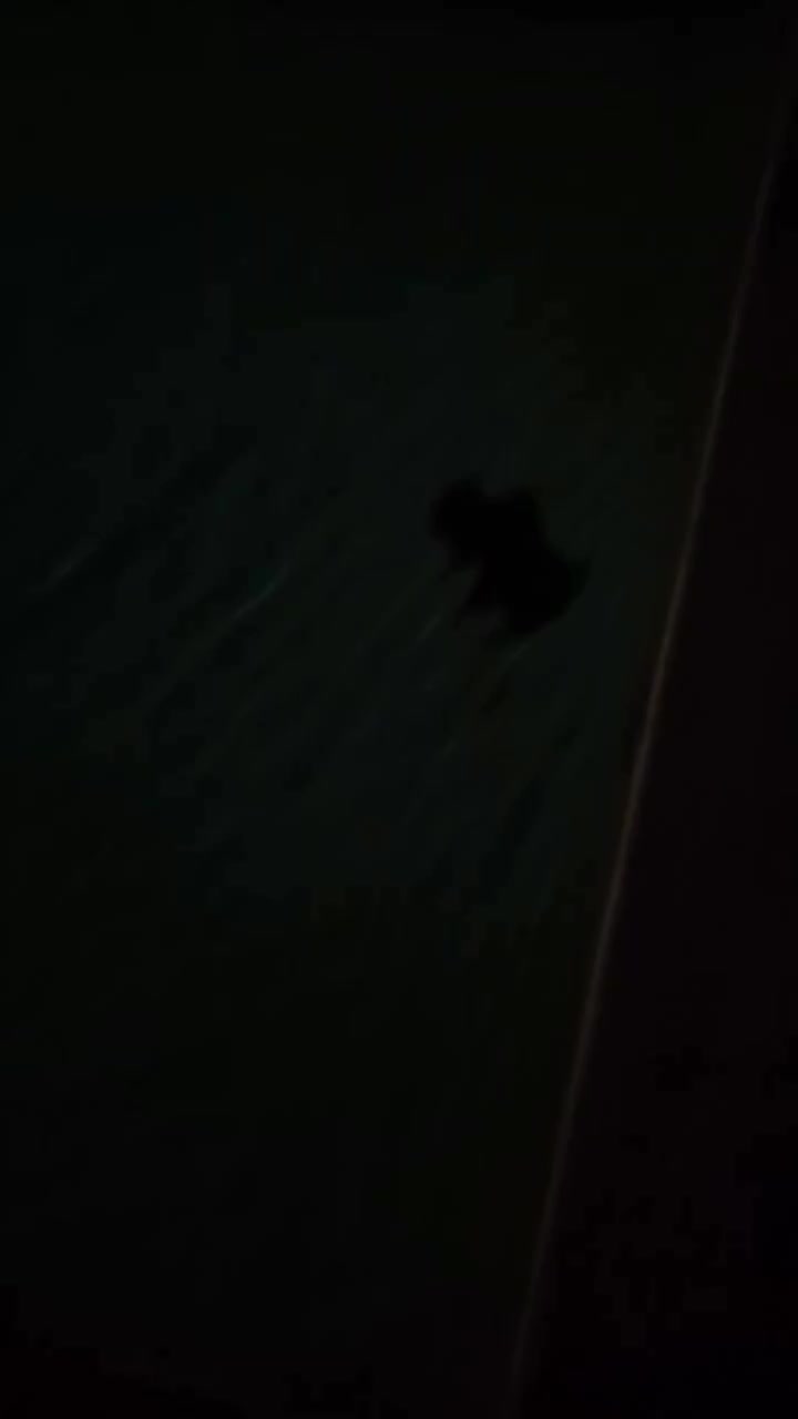 Video post from batsloveronly.