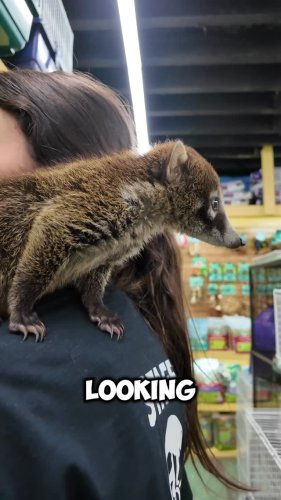 Video post from njexoticpets.