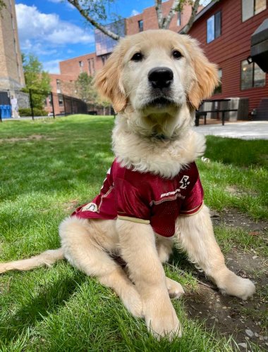 Photo post from bostoncollege.